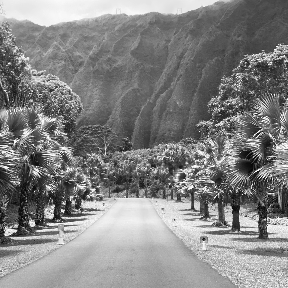 Meet your Posher, Posh